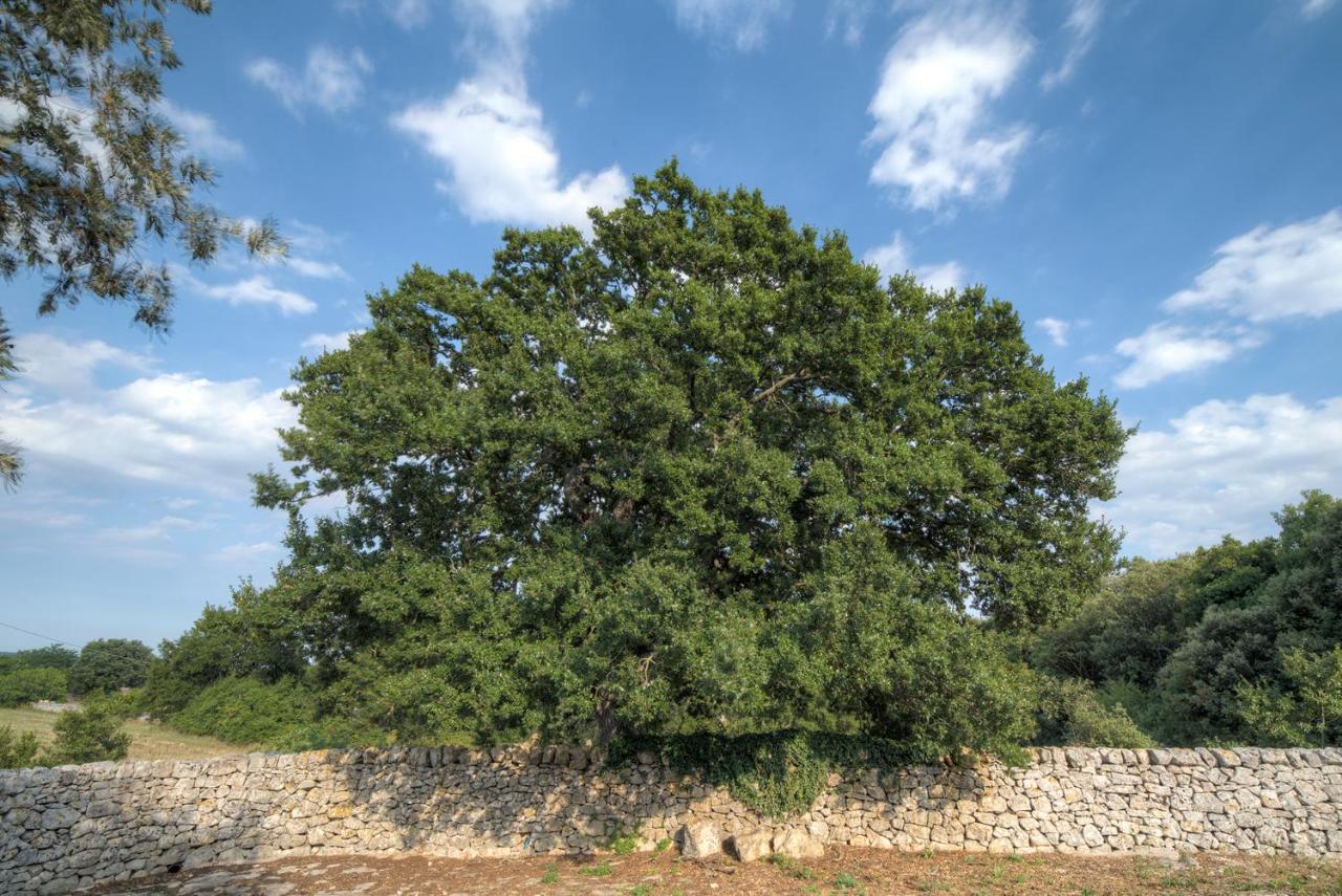 Trulli Capo Di Lupo By Rentbeat Βίλα Cisternino Εξωτερικό φωτογραφία
